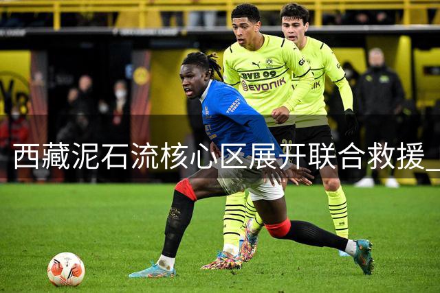 西藏泥石流核心区展开联合救援 专业人员全力搜救